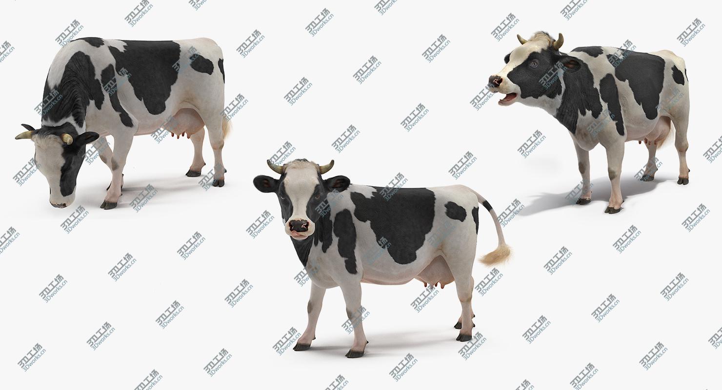 images/goods_img/2021040234/3D Animated Cow Collection model/5.jpg